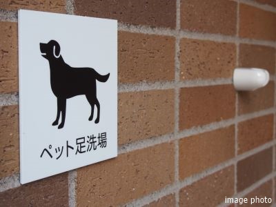 ペット足洗い場イメージ｜ザ・パークハウスグラン三番町26